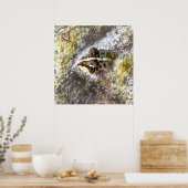 Kikker ondergedompeld in waterbellen en roofbaars poster (Keuken)