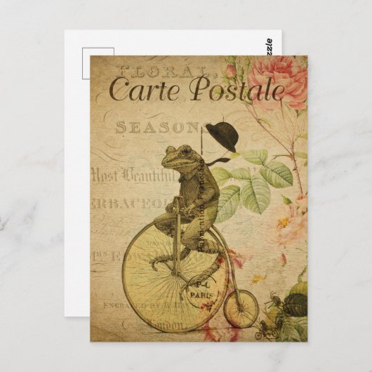 Kikker op Bicycle Frans Briefkaart (Voorkant / Achterkant)
