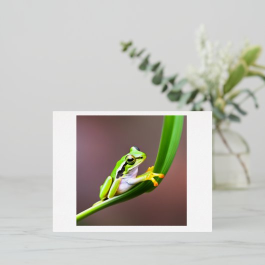 kikker op briefkaart (Staand Voorkant)