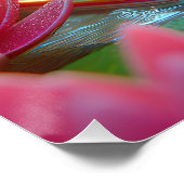 Kikker op een flip-flop in een vijver perfect poster (Hoek)