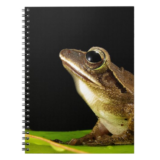 Kikker op een lef notitieboek (Voorkant)