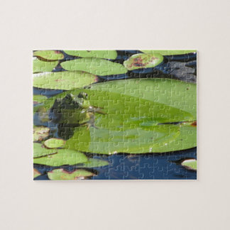 Kikker op een Lily Pad Puzzle Legpuzzel