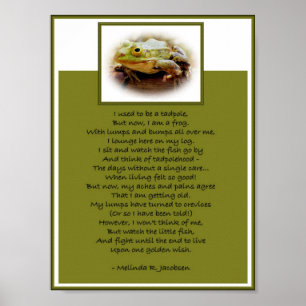 Kikker op een log poster