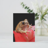 Kikker op een rode bloem briefkaart (Staand voorkant)