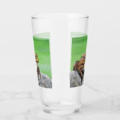 Kikker op een rots glas (Links)