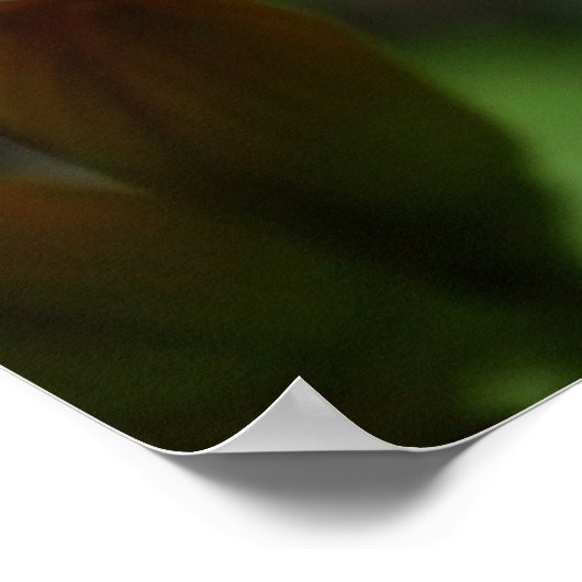 Kikker op een ventilator poster (Hoek)