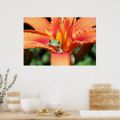 Kikker op een ventilator poster (Keuken)