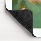 Kikker op groen leder muismat (Hoek)