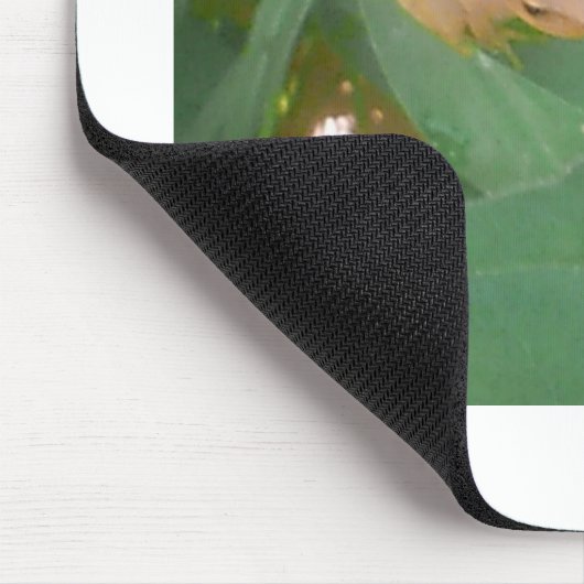 Kikker op groen leder muismat (Hoek)