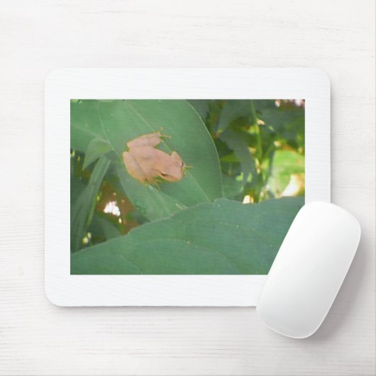 Kikker op groen leder muismat (Met muis)