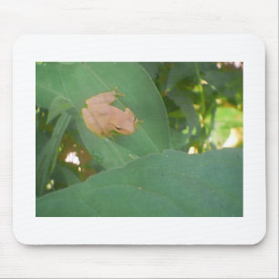 Kikker op groen leder muismat