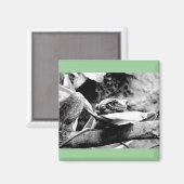 Kikker op leder B+W Magneet (Voorkant / Achterkant)