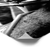 Kikker op leder B+W Poster (Hoek)