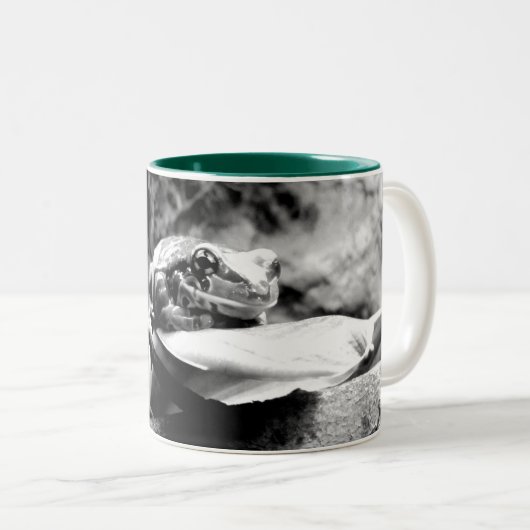 Kikker op leder B+W Tweekleurige Koffiemok (Voorkant rechts)