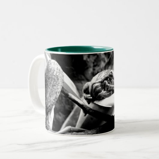 Kikker op leder B+W Tweekleurige Koffiemok (Voorkant links)