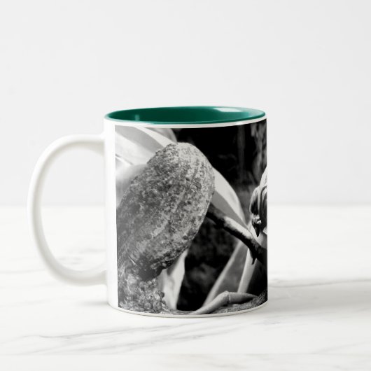 Kikker op leder B+W Tweekleurige Koffiemok (Links)