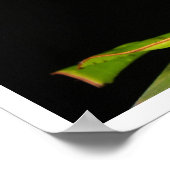 Kikker op leder poster (Hoek)