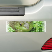 Kikker op Marsh Sticker (Op auto)