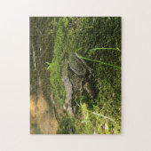 Kikker op Mossy Rock Foto Green en Brown Legpuzzel (Verticaal)