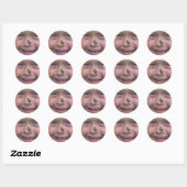 Kikker op neus ronde sticker (Vel)