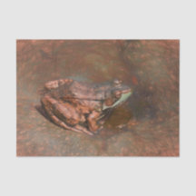  kikker op rokken in water