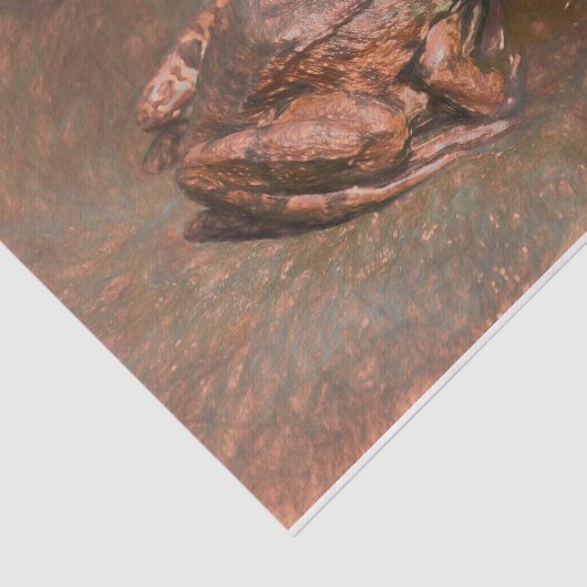  kikker op rokken in water tissuepapier (Detail)