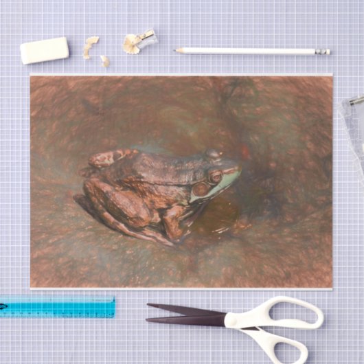  kikker op rokken in water tissuepapier (Craft)