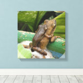 Kikker op rug Canvas Print (Insitu (Houten vloer))