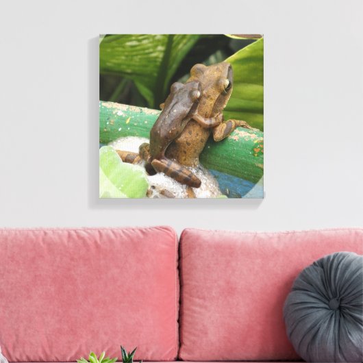 Kikker op rug Canvas Print (Insitu (Woonkamer))