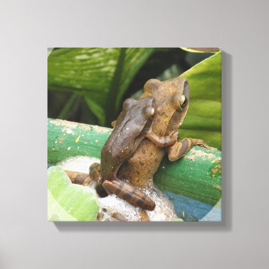 Kikker op rug Canvas Print (Voorkant)