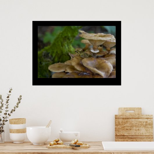 Kikker op Toadstool Poster (Keuken)