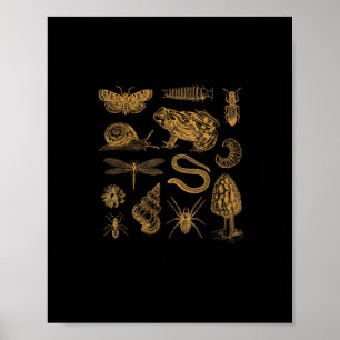Kikker Paddenstoel Mot Vintage Liefhebber Goblinco Poster