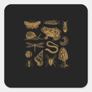 Kikker Paddenstoel Motief Vintage Liefhebber Gobli Vierkante Sticker