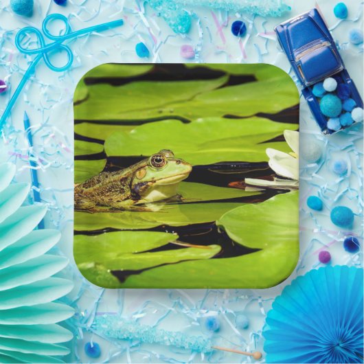 Kikker Papieren Bordje (Feest)