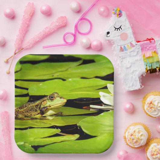 Kikker Papieren Bordje (Feest)
