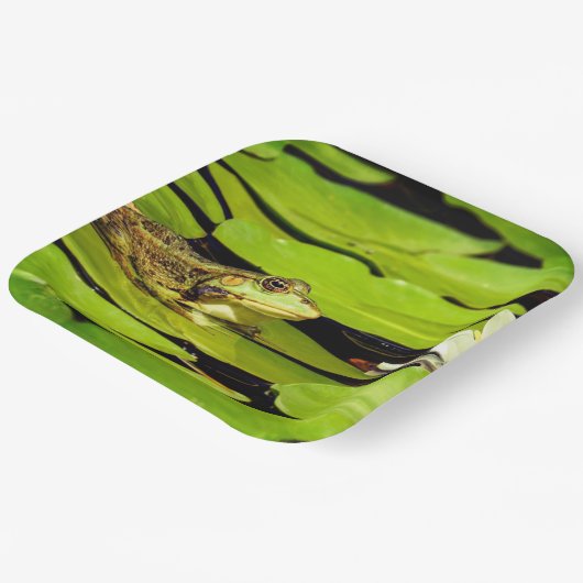 Kikker Papieren Bordje (Gebogen)