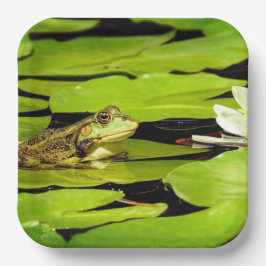Kikker Papieren Bordje