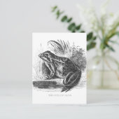 Kikker  pen en inkttekening briefkaart (Staand voorkant)