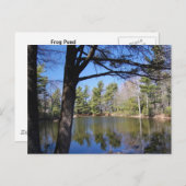 Kikker Pond Briefkaart (Voorkant / Achterkant)