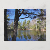 Kikker Pond Briefkaart (Voorkant)