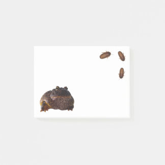 Kikker Post-it® Notes