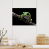 Kikker Poster (Keuken)