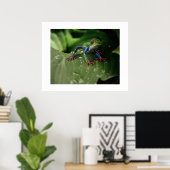 Kikker Poster (Thuiskantoor)