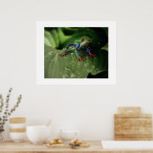 Kikker Poster (Keuken)