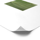 Kikker Poster (Hoek)