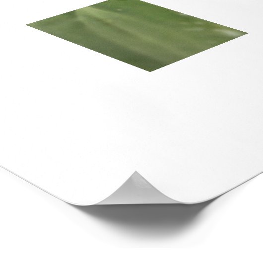 Kikker Poster (Hoek)