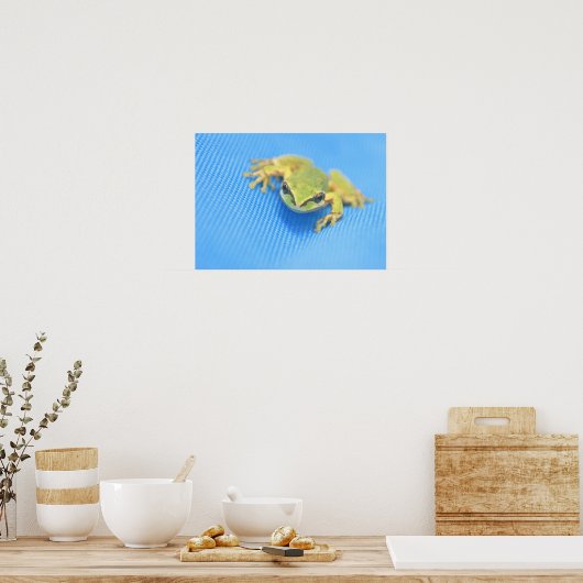 Kikker Poster (Keuken)