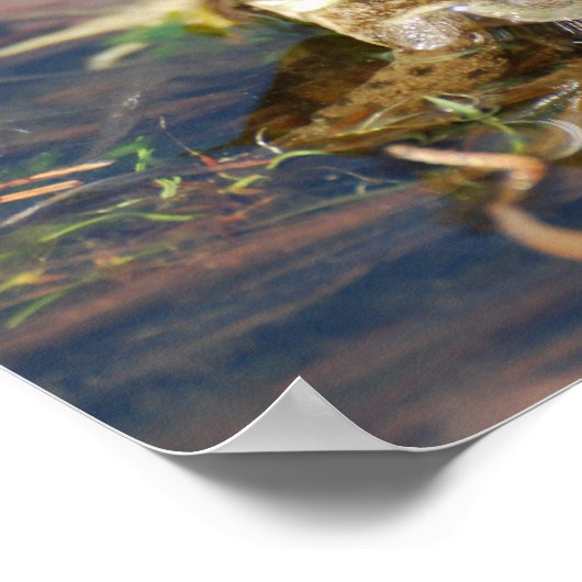 Kikker Poster (Hoek)