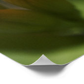 Kikker Poster (Hoek)