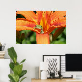 Kikker Poster (Thuiskantoor)